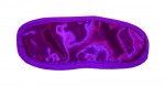 S&m Satin Hot Pink Blindfold